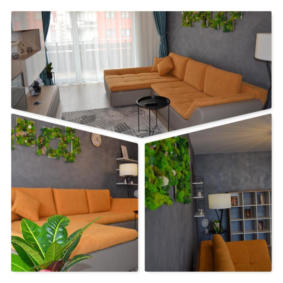 Marimonti Apartment Brasov Exterior photo